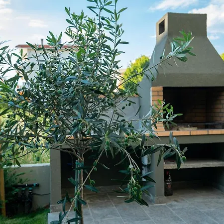 Olive 202 Appartement *